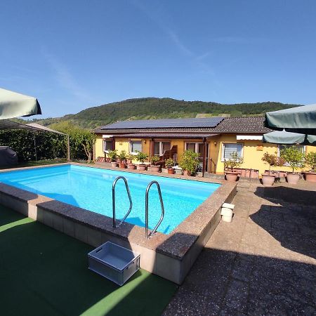 Moselferienweingut Schaefer Apartment วินทริค ภายนอก รูปภาพ